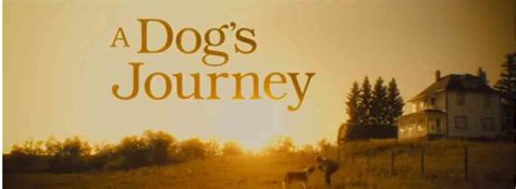 In a dog's journey, he is given a mission by ethan to protect his granddaughter, a mission that bailey carries out effectively, along his journey continuing the story of the dog bailey from a dog's purpose, a dog's journey again follows him through multiple lifetimes. A Dog's Journey Movie | Cast, Release Date, Trailer ...