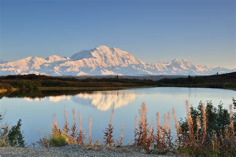 Denali Travel Guide Tours And Sightseeing Gray Line Alaska