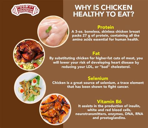 What Are Benefits Of Eating Chicken Chocho Recipes