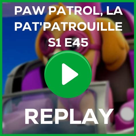 Replay Paw Patrol La Patpatrouille La Patpatrouille Sauve Ryder Du