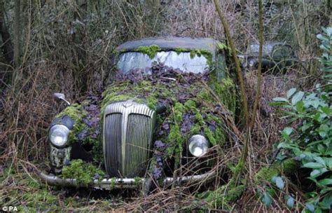 Classic British Cars Discovered In Barnyard Set To Fetch Thousands At