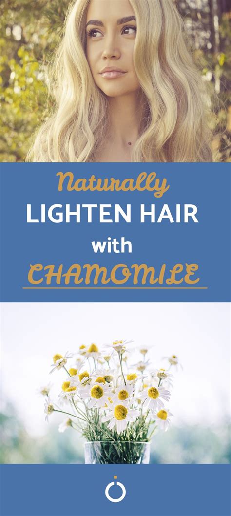Tips To Lighten Your Hair With Chamomile How Can This