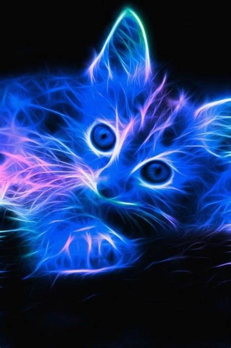 Glowing Kitty Neon Cat Cats Cat Art
