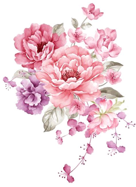 Pink Watercolor Flowers Transparent Ftestickers Water