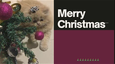 Merry Christmas🎄24 Youtube