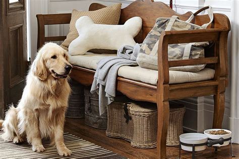 Pottery Barn Adds Tasteful Pet Products To Its Lineup Racked