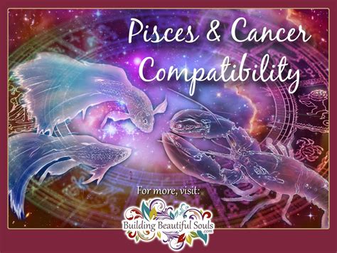 In other words, they excel at recognizing and reasoning with their own and others' feelings. Pisces and Cancer Compatibility: Friendship, Sex & Love