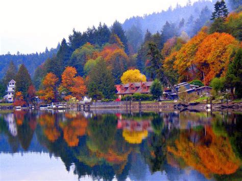 Autumnal Glory With Images Vancouver Island British Columbia