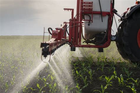 Tractor Spraying Pesticides At Corn Fields Stock Image Image Of Plant Irrigate 219678629