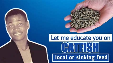 Learn How To Formulate Local Catfish Feed Like A Pro Catfish Farming