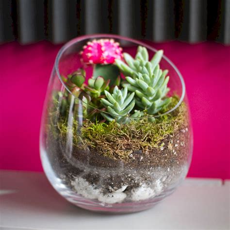 Use a mariner's lamp and diy a concrete base to create a closed terrarium with a unique touch. Top 15 DIY Succulent Terrarium Ideas for Easy And Low Cost to Make It / FresHOUZ.com