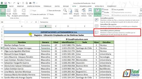 Curso Excel Intermedio Cómo Inmovilizar Filas Y Columnas En Excel