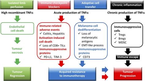 The Tnf Paradox In Cancer Progression And Immunotherapy Abstract Europe Pmc