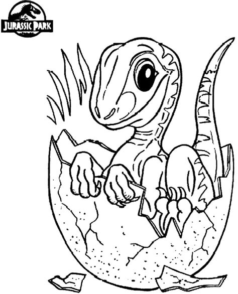 bebé dinosaurio en el mundo jurásico para colorear imprimir e dibujar coloringonly