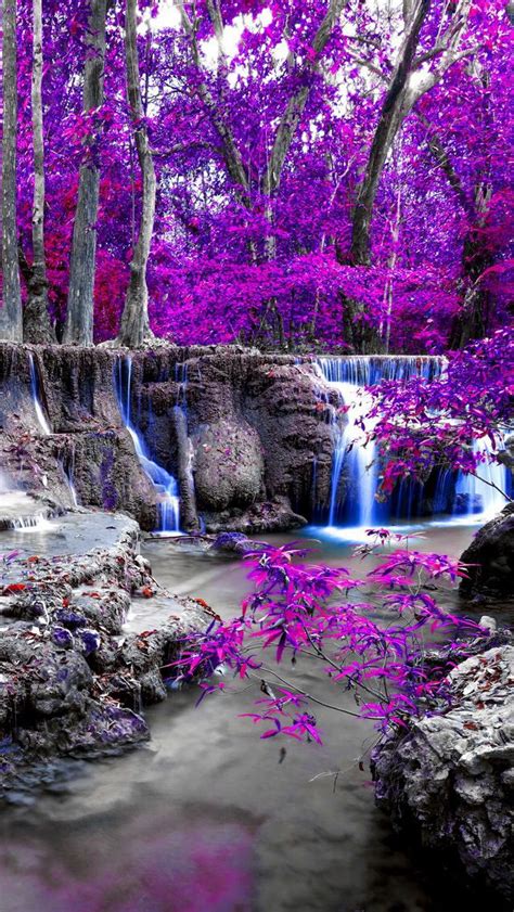 Purple Waterfall Paisaje De Otoño