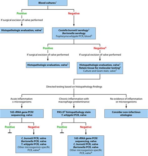 Diagnostic Testing For Identification Of The Microbiological Etiology