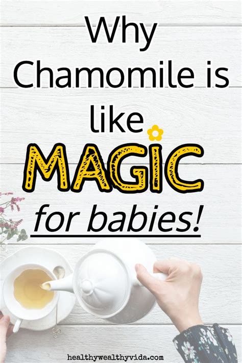 Chamomile (american english) or camomile (british english; Chamomile Tea For Babies (The Benefits You Need To Know ...