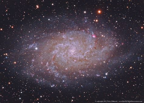 M33 Triangulum Galaxy My Latest Shoot The Triangulum Gala Flickr