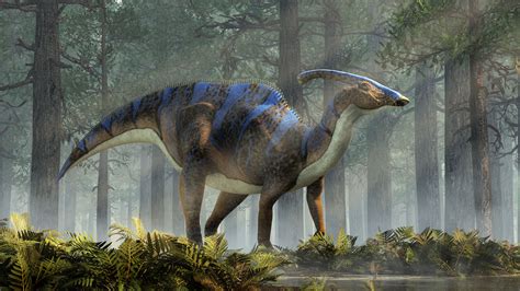 Parasaurolophus Dinopedia Parc