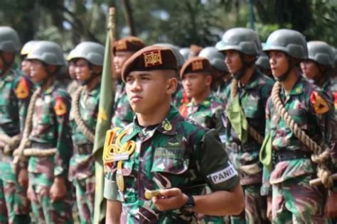 Inilah Tabel Gaji Prajurit TNI Pangkat Prada Berdasarkan Masa Kerja