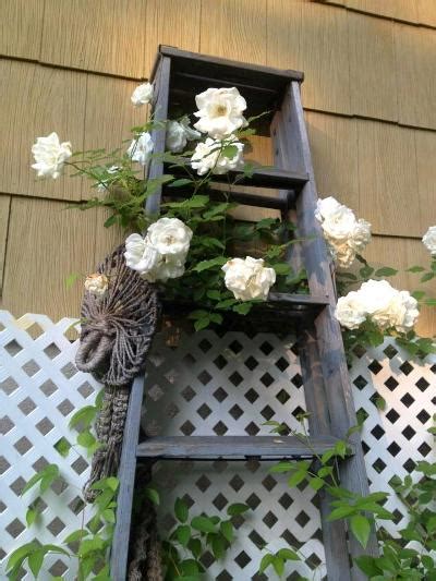 Repurposed Ladders In The Garden Sierra News Online