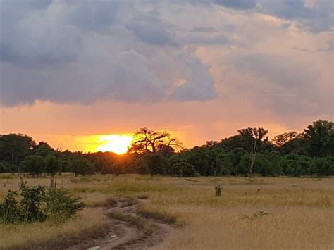 Kiboko Safaris Lilongwe 2021 All You Need To Know Before You Go