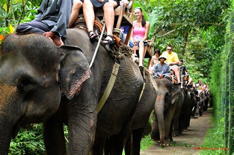 Maybe you would like to learn more about one of these? Elephant Ride | Bali Tour Operators