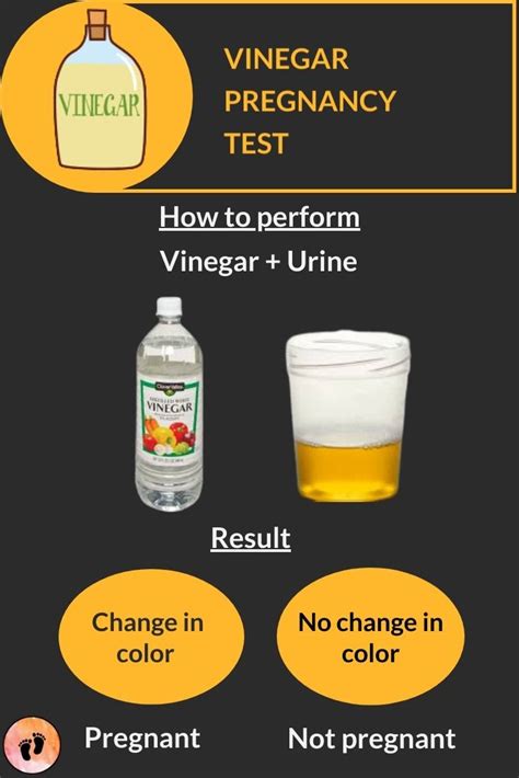 An Info Sheet Describing How To Use Vinegar