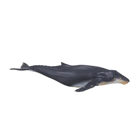 Mojo Humpback Whale Plastic Animal Sea Toy Figure Model Figurine Fish