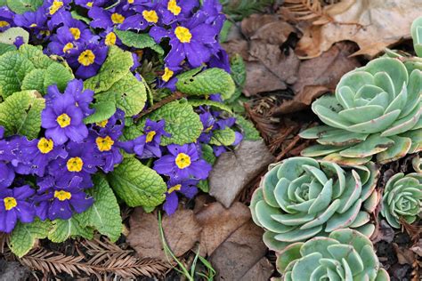 Check spelling or type a new query. Motivated Me: Winter Garden