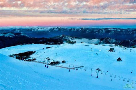 Mt Buller Or Mt Hotham Which Is Better Honest Guide