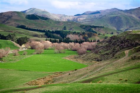 Filenew Zealand Rural Landscape 9758