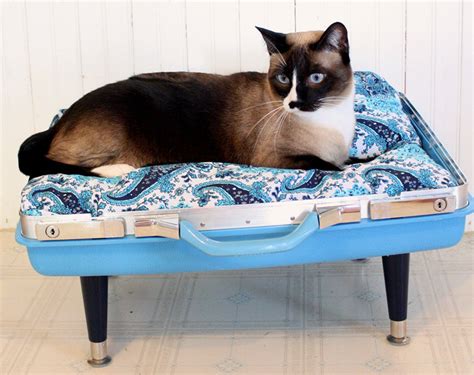 Suitcase Cat Bed Inhabitat Green Design Innovation Architecture