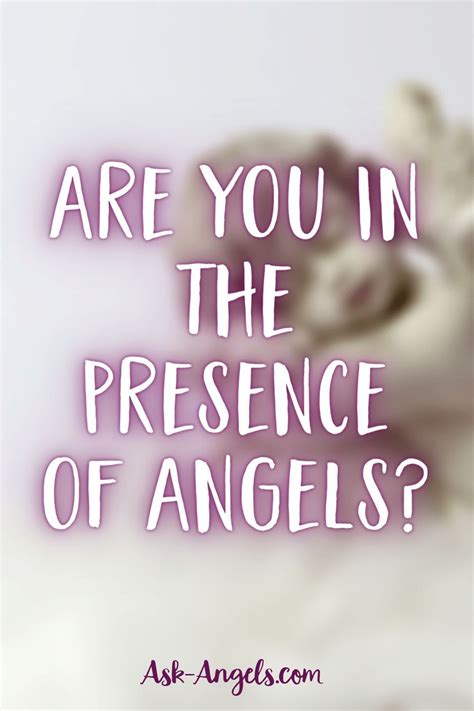 Signs You Are In The Presence Of Angels In Angel Guidance Spiritual Guidance New