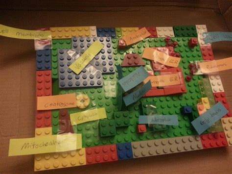 Lego animal cell — homegrown learners. 17 Best images about cell project on Pinterest | Lego ...