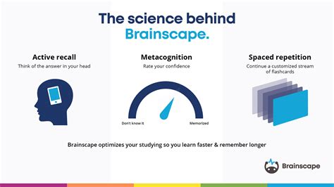 What Is Active Recall How To Use It To Ace Your Exams Brainscape Academy
