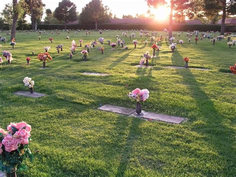 How Many Cemetery Plots Should I Buy