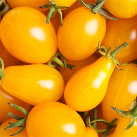 Organic Yellow Pear Tomato Seeds Sweet Yards