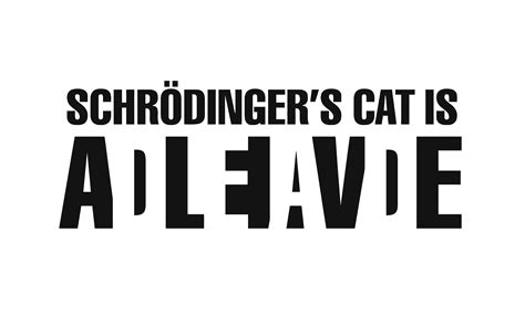 Minimalism Typography White Background Schrödingers Cat Simple Background Wallpaper Test