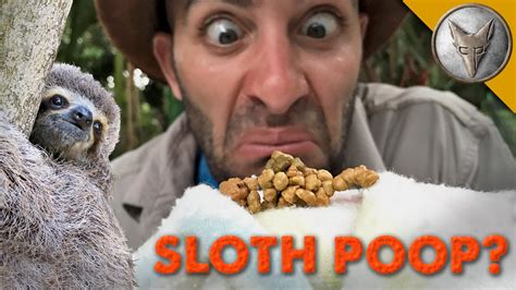 Is This Sloth Poop Youtube