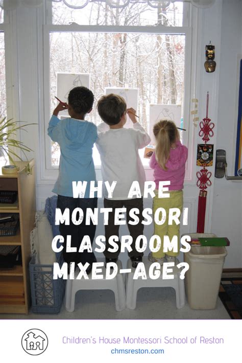 Why Are Montessori Classrooms Mixed Age Childrens House Montessori