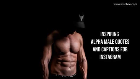 Inspiring Alpha Male Quotes And Captions For Instagram 2023