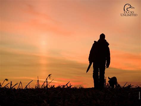 Hunting Dog Wallpapers Wallpaper Cave