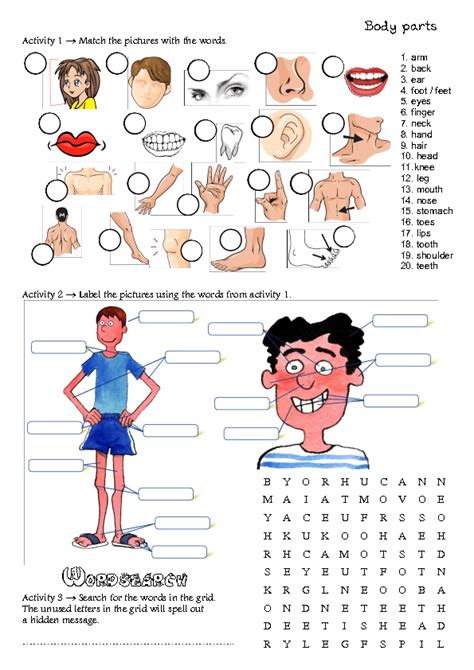 Body parts worksheets, body parts worksheet templates, body parts board games. Body Parts