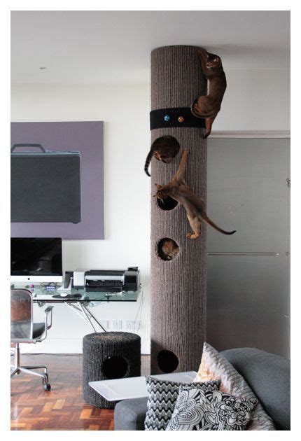 Another Must Have Cat Scratcher The Hicat Climbing System Cat