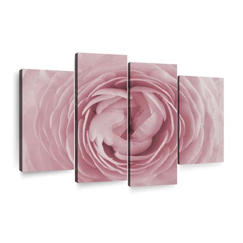Blooming Rose Wall Art Photography By Incado