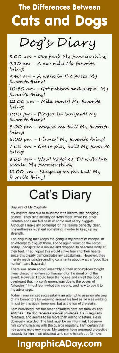I am going to compare and contrast the similarities and differences between dogs and cats. Infographic: The Difference Between Cats and Dogs ...
