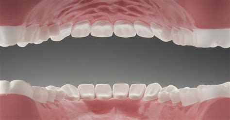 8 Easy Facts About Gum Disease Pictures What Do Healthy Gums Look Like