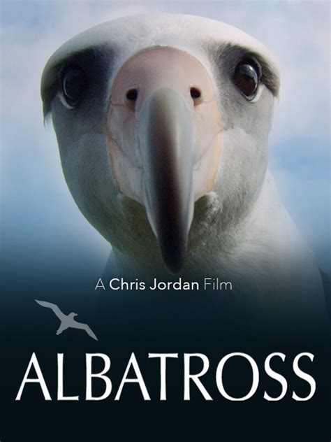 2011 filmleri dram film izle türkçe dublaj filmler. Buy tickets for Wildlife Film; Albatross at Alma Tavern ...