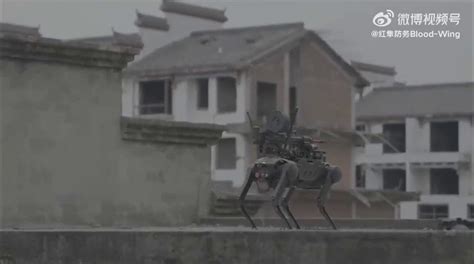 Shocking Video Shows Chinese Robot Attack Dog With Machine Gun Dropped